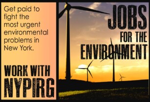 ★ ★ Work with NY’s Largest Environmental Group! ★ ★ (Financial District)