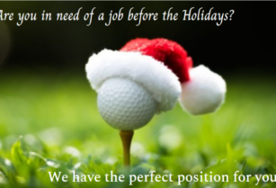 The Holidays are near but never fear… We have a jolly job for you (VANCOUVER)
